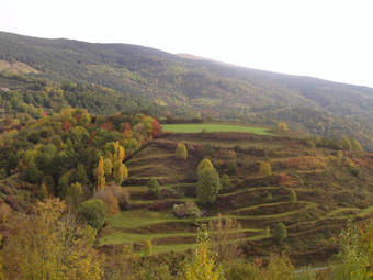 Camping Vall De Ribes