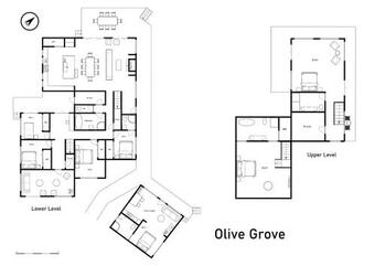 Olive Grove