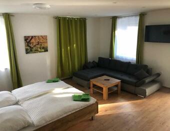 Apartamento Ferienwohnung ?gm�nder Hof?