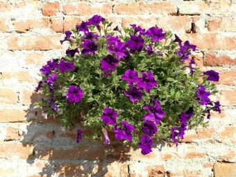 Apartamento Bona Terra