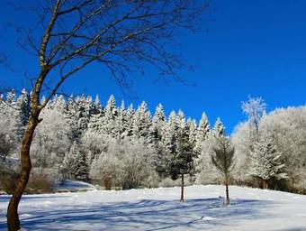 Hotel Landgasthof & G�stehaus Rh�nblick