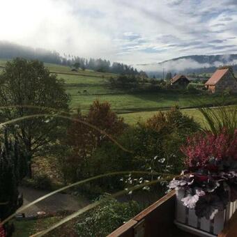 Apartamento Schwarzwild - Ferienwohnung Und Ferienzimmer