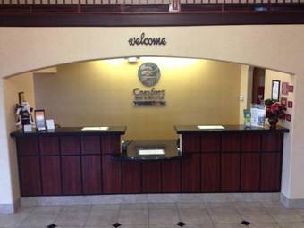 Hotel Comfort Inn And Suites Texas City