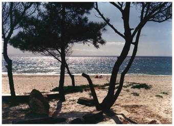 Apartamento Domaine De L'avidanella