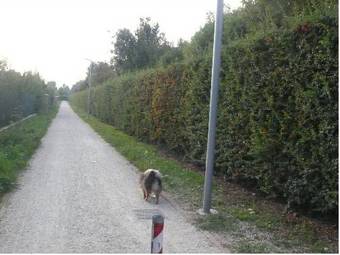 Agroturismo Caspineda Agriturismo