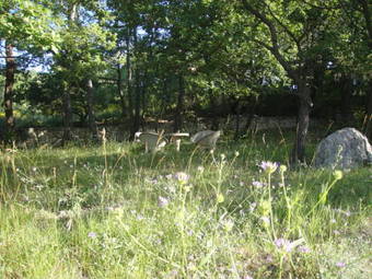 Hotel Le Mas Du Loriot