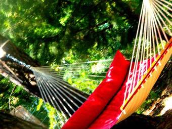 Hotel H�tel Des Pins