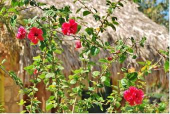 Hotel Villas Ecotucan