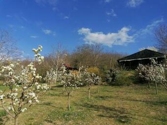 Baranja Black Hill's