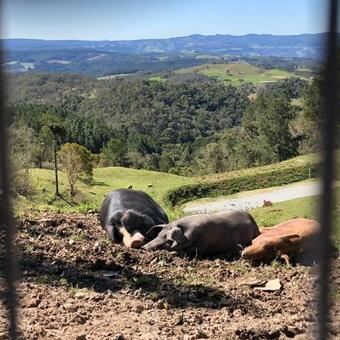 S�tio Guardi�o Dos Ventos