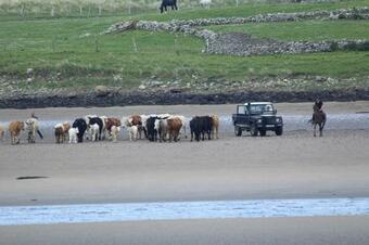 Armada Lodge Seashore Holiday Apartments