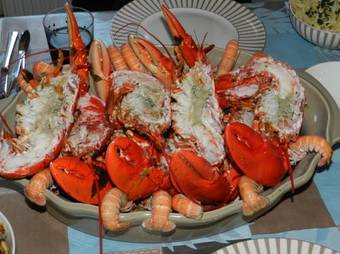 Vakantiehuis Bretagne