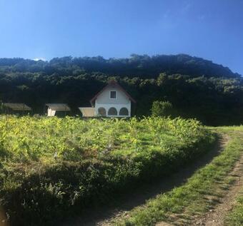 Apartamento Chateau Segesdi Borapartman