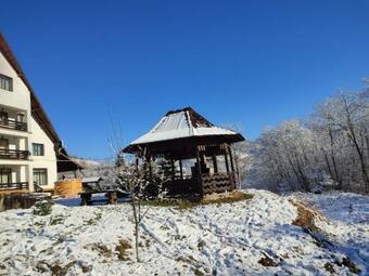 Hostal Bucovina Montan?