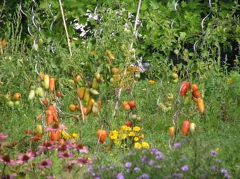 Hotel Auberge De La Marine