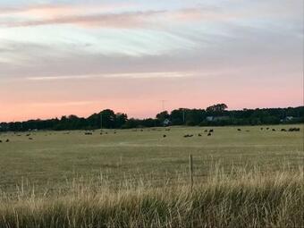 Lilla Sommarhuset Burgsvik