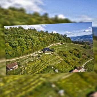 Vineyard Cottage Podr?aj