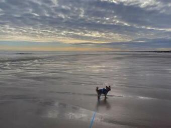 Charming 2 Bedroom Holiday Chalet