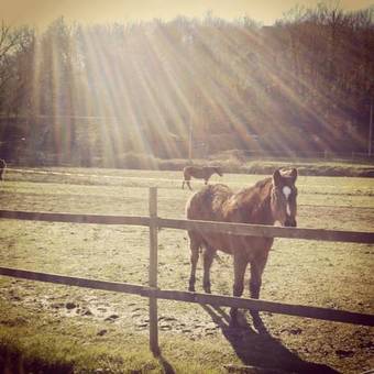 Agroturismo Agriturismo Campo Al Sole