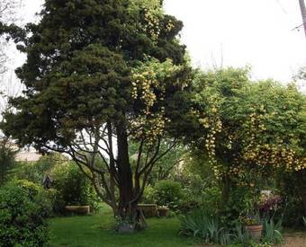 Bed & Breakfast Le Mas Des Clots