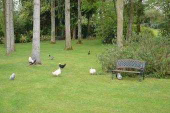 Bed & Breakfast La Grange Des Marettes