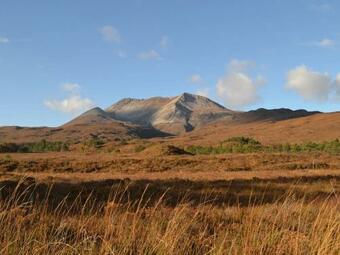Mango Pony's Bothy - Uk31959
