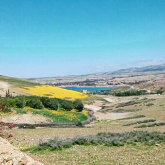 Hostal Dar Boumida