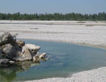 Hostal Bozzolo Dorato