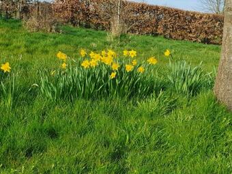 Renovated Cosy Cottage Within Cranborne Chase