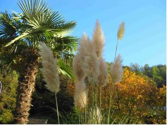 Hotel Albergo Gardenia