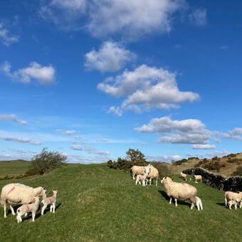 Apartamento The Cheeseloft - Spacious One Bed With Terrace