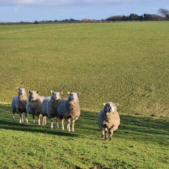 Ta Mill Cottages & Lodges - Brookview Lodge 2