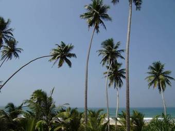 Bed & Breakfast Raja Beach Hotel