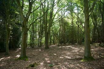Brocklands Farm Glamping