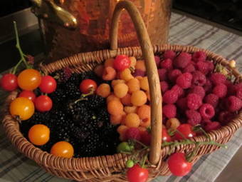 Bed & Breakfast Les Vieux Guays