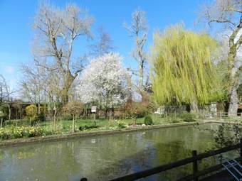 Le Moulin De Dannemarie
