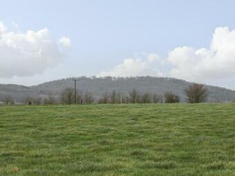 Lower Farm