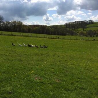 Agroturismo The Old Stables