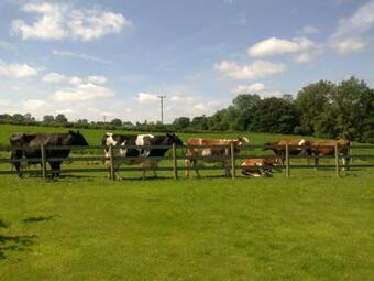 Lodge The Parlour, For Alton Towers & The Peak District