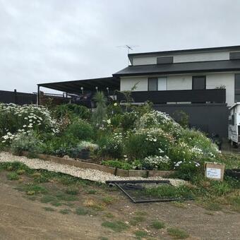 Bed & Breakfast Art House