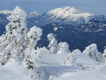 G�stehaus Wasserburger