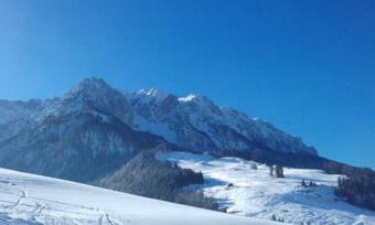 Apartamento Ferienwohnungen Fahringer Diana