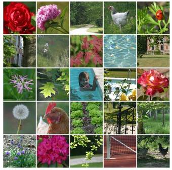 Bed & Breakfast Ch�teau Des Bouffards