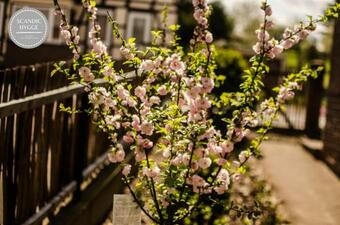 Apartamento Ferienwohnung Scandic Hygge Bevern Im Weserbergland
