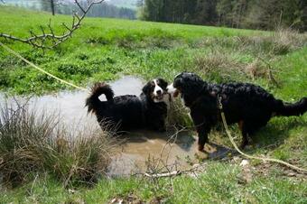 Apartamento Mirabellenhof - Kleine Ferienwohnung Mit Altstadtblick