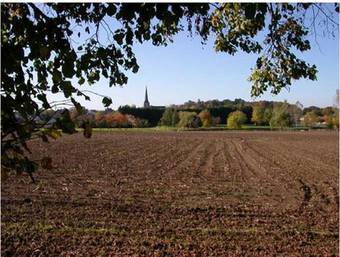 Bed & Breakfast Domaine De La Houzardiere