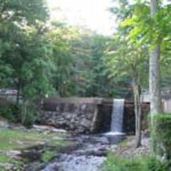 Mill House Lodge - Flat Rock