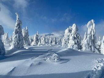 Apartamento Penzion Polubn�