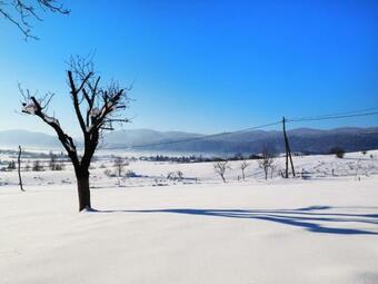 Hostal Guest House Sara Latin