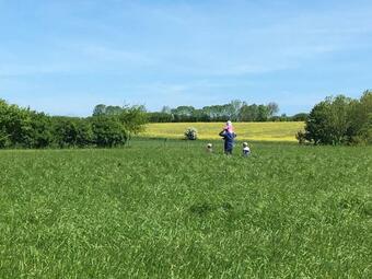 Apartamento Ferienhof Schulz